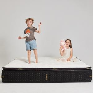 6095 Seven-zone bagged spring mattress with sleep monitoring system  6095 Seven-zone bagged spring mattress with sleep monitoring system